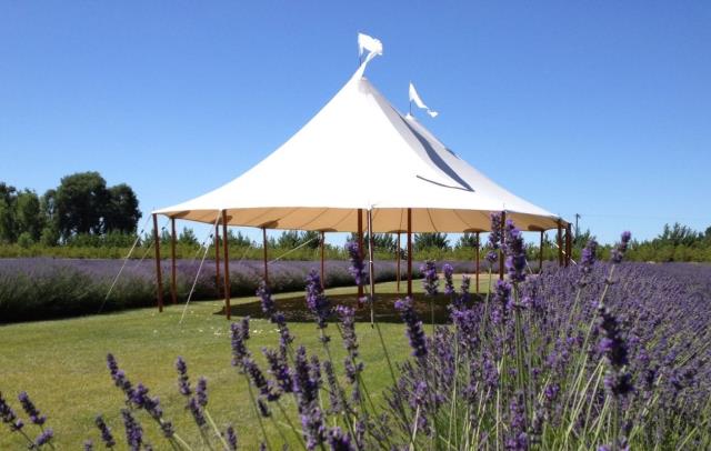 Rental store for EVENT SW SAILCLOTH 32 X 50 in Hackettstown NJ