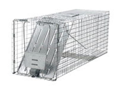 Rent Miscellaneous